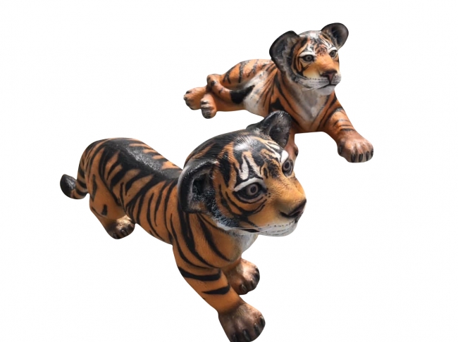 Baby Tigers