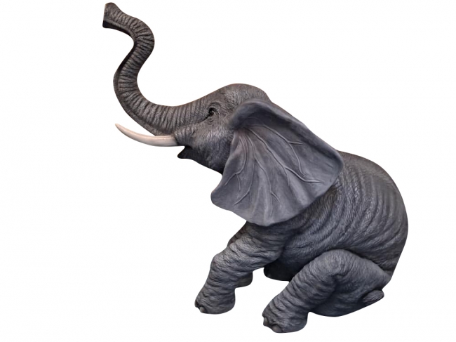Elephant Sitting Trunk Up