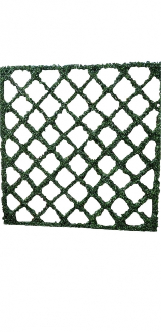 Grass Latice Wall