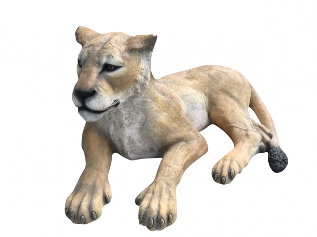 Lioness – Laying Down