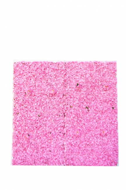 Pink Flower Wall
