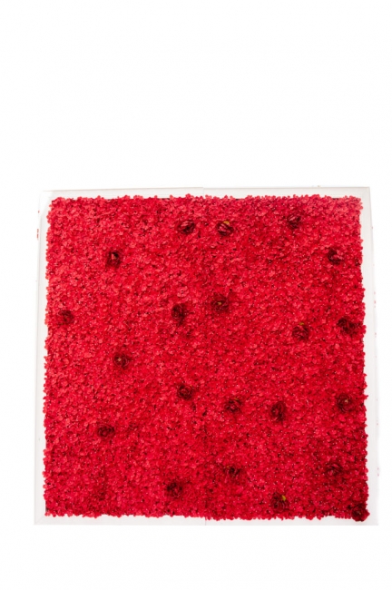 Red Flower Wall