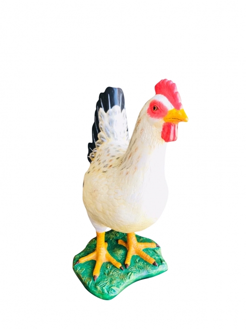 Rooster
