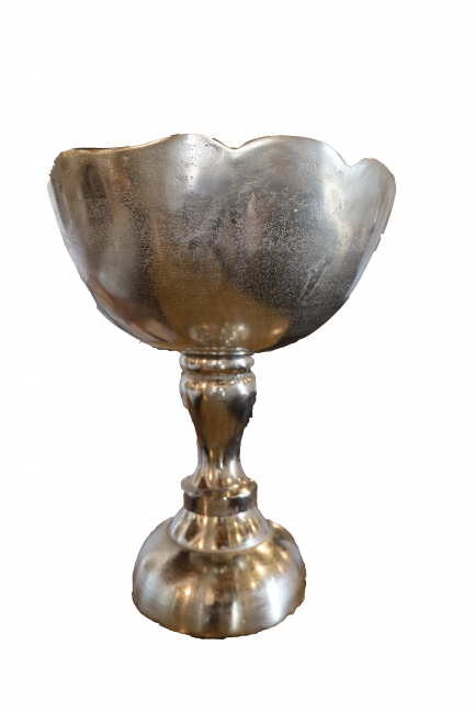 Silver Fruit XL Big Bowl 