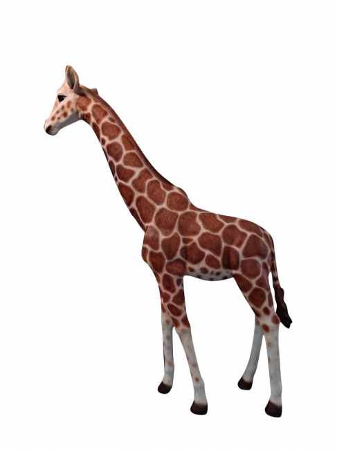 Tall Giraffe