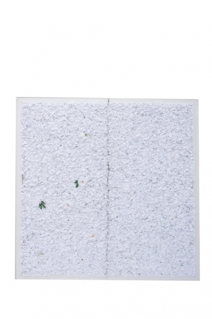 White Flower Wall