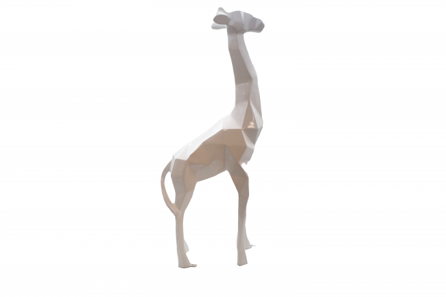 White Giraffe 